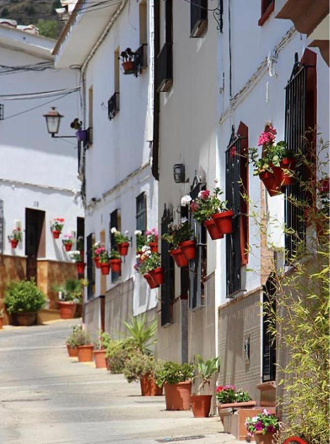 Mirasierrahome... Tu Hogar De Vacaciones! 埃尔乔罗 外观 照片
